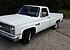 1984 Chevrolet C/K Truck 2WD Regular Cab 1500 for sale 101392632